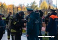 д11